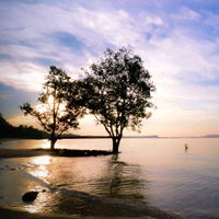 秋思短信轰炸平台