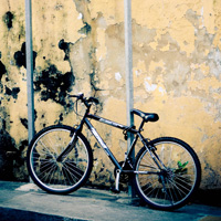 秋思短信轰炸平台