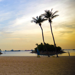 点亮智慧未来的短信在线呼死你2023