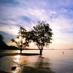 采购管理软件的短信在线云呼轰炸